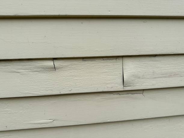 Best Composite Siding  in Huntgburg, IN